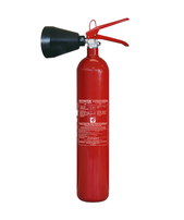 B-2 Feuerlöscher Co2 2 kg